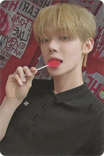 The Star Chapter : Sanctuary