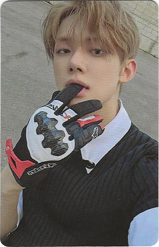 The Star Chapter : Sanctuary