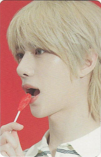 The Star Chapter : Sanctuary