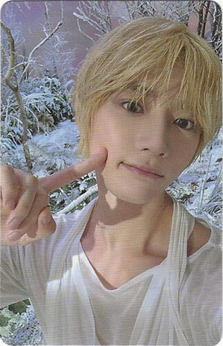 The Star Chapter : Sanctuary