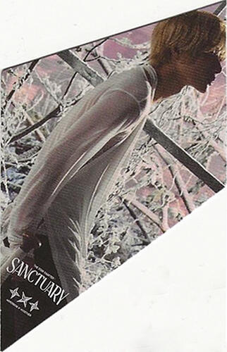 The Star Chapter : Sanctuary