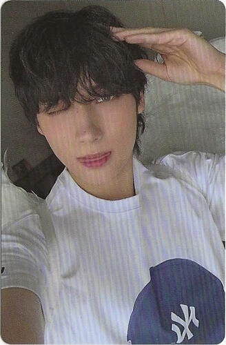 The Star Chapter : Sanctuary