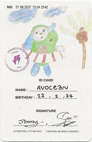 Avocean